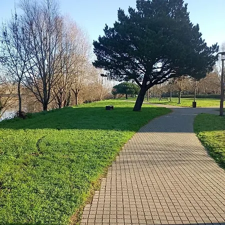 Standing Vue Panoramique Sur *