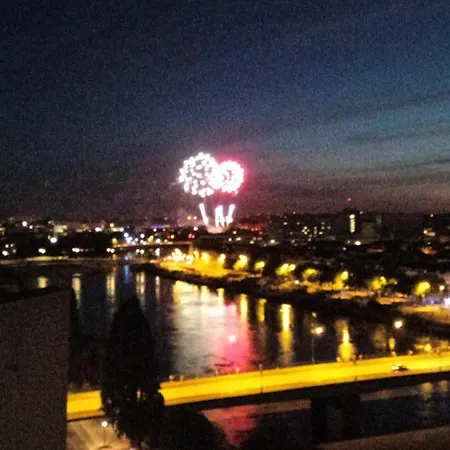 Standing Vue Panoramique Sur Nantes